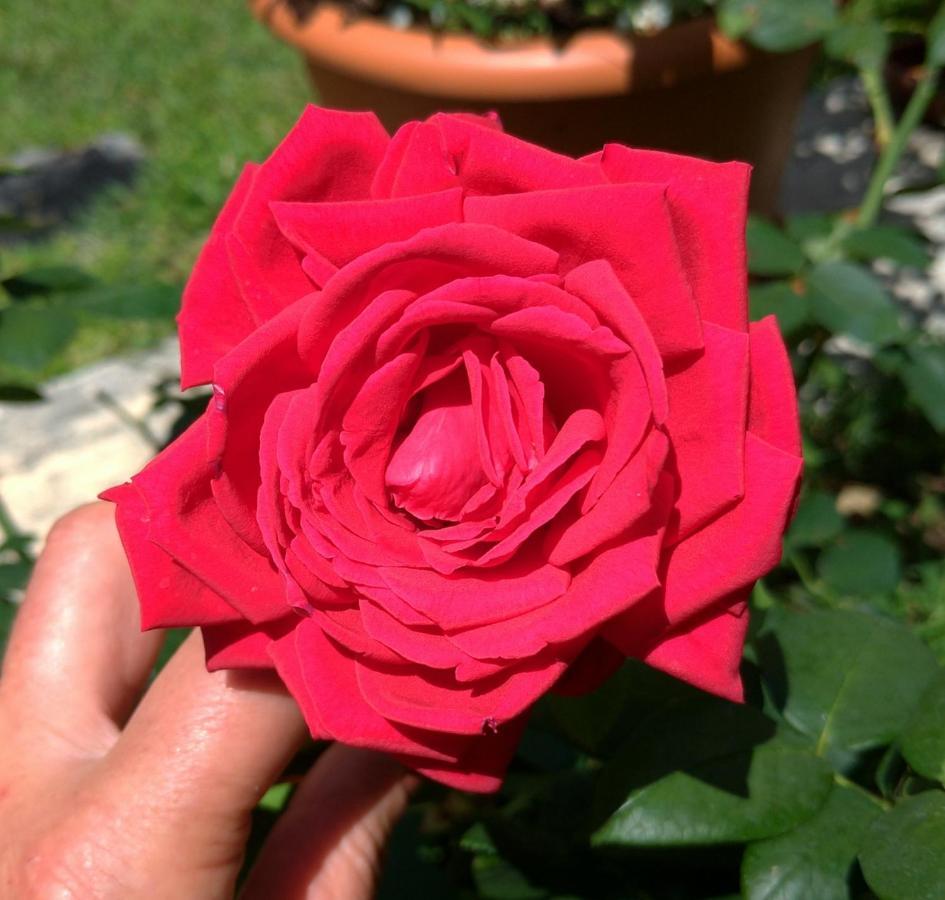 Gemma Di Gallura Charme B&B Olbia Luaran gambar